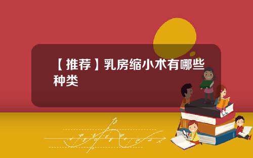 【推荐】乳房缩小术有哪些种类