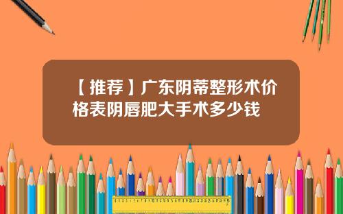 【推荐】广东阴蒂整形术价格表阴唇肥大手术多少钱