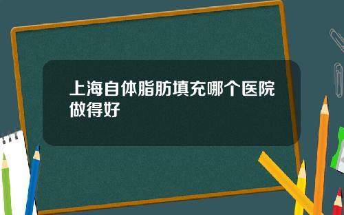 上海自体脂肪填充哪个医院做得好