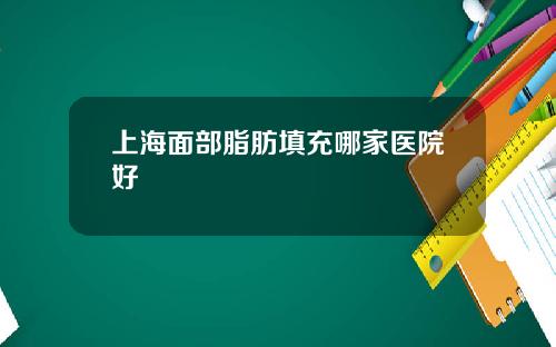 上海面部脂肪填充哪家医院好