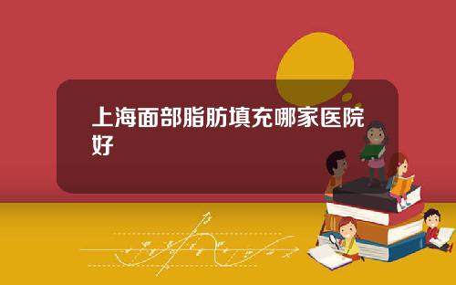 上海面部脂肪填充哪家医院好