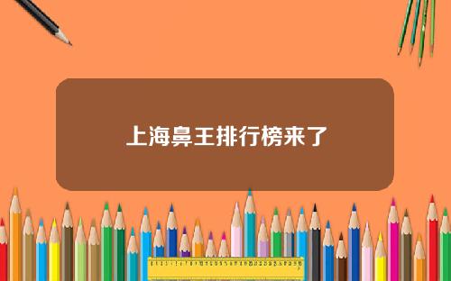 上海鼻王排行榜来了