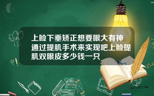 上睑下垂矫正想要眼大有神通过提肌手术来实现吧上睑提肌双眼皮多少钱一只