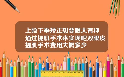 上睑下垂矫正想要眼大有神通过提肌手术来实现吧双眼皮提肌手术费用大概多少