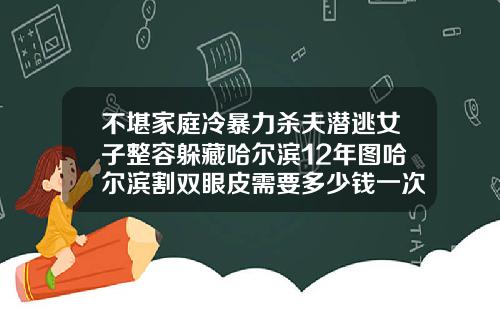 不堪家庭冷暴力杀夫潜逃女子整容躲藏哈尔滨12年图哈尔滨割双眼皮需要多少钱一次