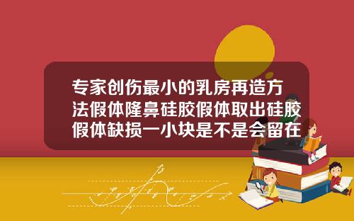 专家创伤最小的乳房再造方法假体隆鼻硅胶假体取出硅胶假体缺损一小块是不是会留在体内