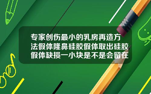 专家创伤最小的乳房再造方法假体隆鼻硅胶假体取出硅胶假体缺损一小块是不是会留在体内