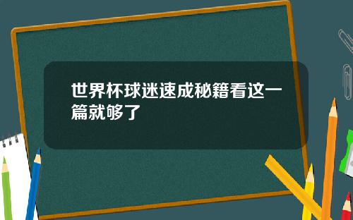 世界杯球迷速成秘籍看这一篇就够了