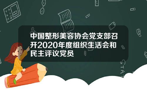 中国整形美容协会党支部召开2020年度组织生活会和民主评议党员