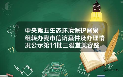 中央第五生态环境保护督察组转办我市信访案件及办理情况公示第11批三爱堂美容整形医院