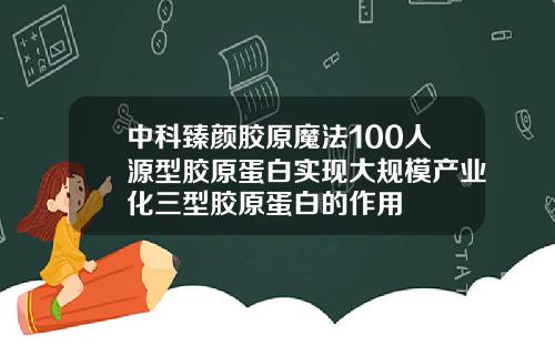 中科臻颜胶原魔法100人源型胶原蛋白实现大规模产业化三型胶原蛋白的作用