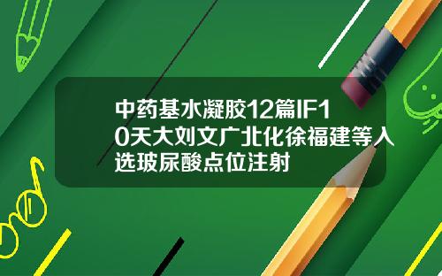中药基水凝胶12篇IF10天大刘文广北化徐福建等入选玻尿酸点位注射