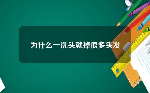 为什么一洗头就掉很多头发