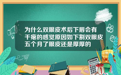 为什么双眼皮术后下唇会有干瘪的感觉原因如下割双眼皮五个月了眼皮还是厚厚的
