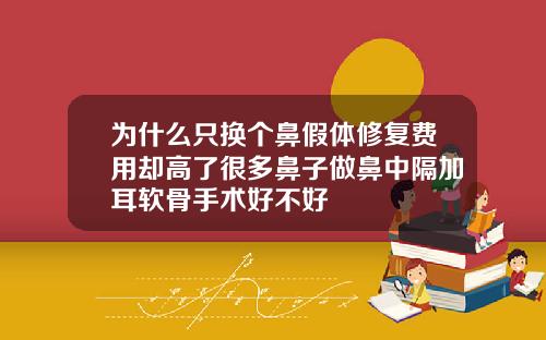 为什么只换个鼻假体修复费用却高了很多鼻子做鼻中隔加耳软骨手术好不好