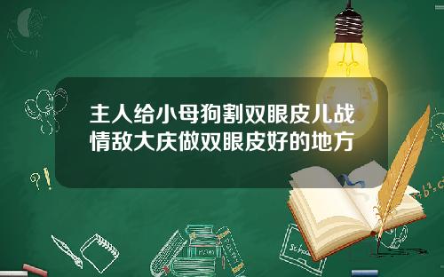 主人给小母狗割双眼皮儿战情敌大庆做双眼皮好的地方