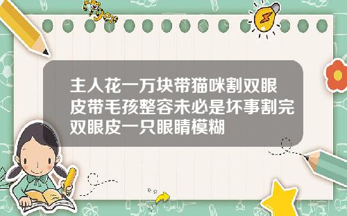 主人花一万块带猫咪割双眼皮带毛孩整容未必是坏事割完双眼皮一只眼睛模糊