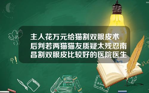 主人花万元给猫割双眼皮术后判若两猫猫友质疑太残忍南昌割双眼皮比较好的医院医生