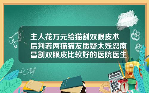 主人花万元给猫割双眼皮术后判若两猫猫友质疑太残忍南昌割双眼皮比较好的医院医生