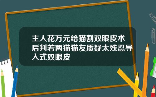 主人花万元给猫割双眼皮术后判若两猫猫友质疑太残忍导入式双眼皮