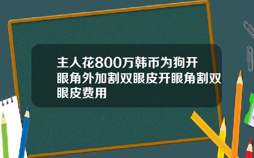 主人花800万韩币为狗开眼角外加割双眼皮开眼角割双眼皮费用