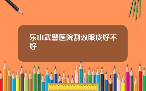 乐山武警医院割双眼皮好不好