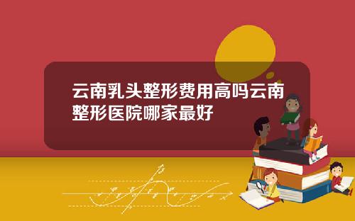 云南乳头整形费用高吗云南整形医院哪家最好