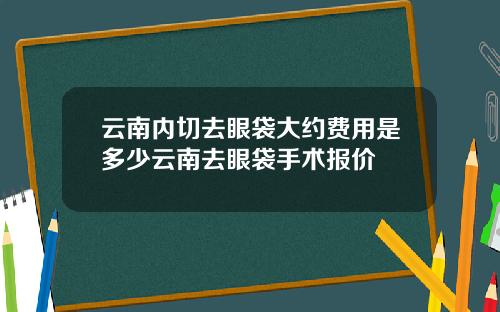 云南内切去眼袋大约费用是多少云南去眼袋手术报价