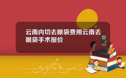 云南内切去眼袋费用云南去眼袋手术报价