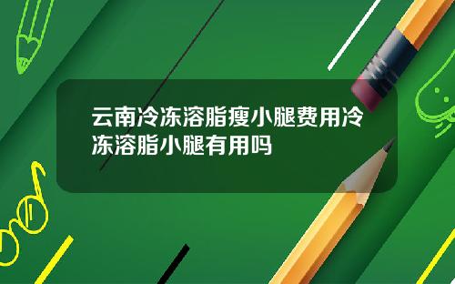 云南冷冻溶脂瘦小腿费用冷冻溶脂小腿有用吗