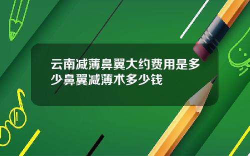 云南减薄鼻翼大约费用是多少鼻翼减薄术多少钱