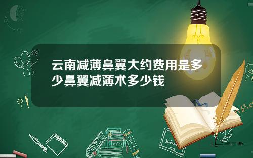 云南减薄鼻翼大约费用是多少鼻翼减薄术多少钱