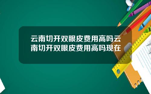 云南切开双眼皮费用高吗云南切开双眼皮费用高吗现在