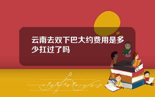 云南去双下巴大约费用是多少扛过了吗
