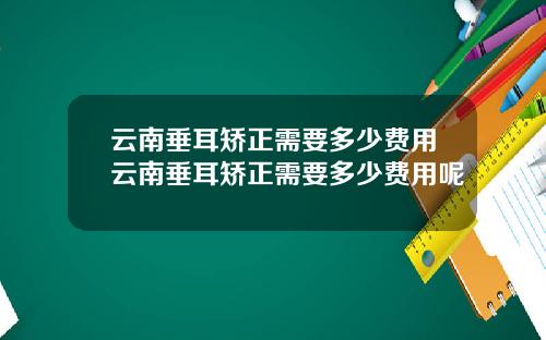 云南垂耳矫正需要多少费用云南垂耳矫正需要多少费用呢