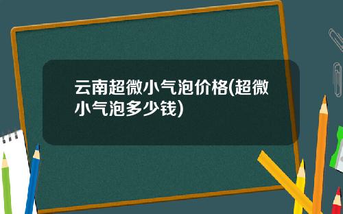 云南超微小气泡价格(超微小气泡多少钱)
