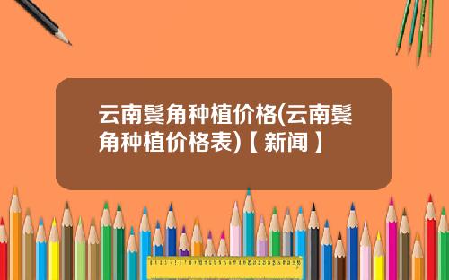 云南鬓角种植价格(云南鬓角种植价格表)【新闻】