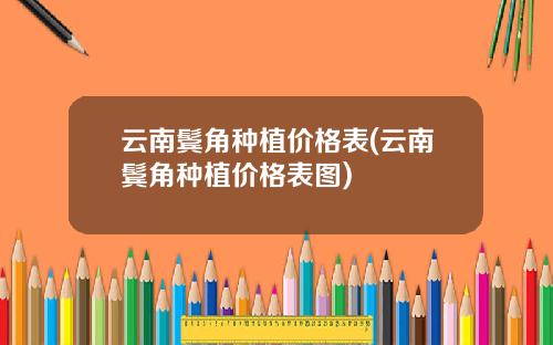 云南鬓角种植价格表(云南鬓角种植价格表图)