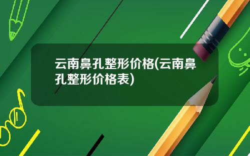 云南鼻孔整形价格(云南鼻孔整形价格表)