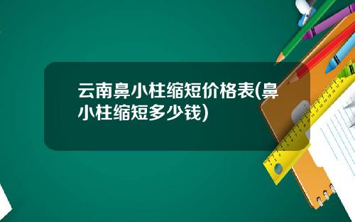 云南鼻小柱缩短价格表(鼻小柱缩短多少钱)