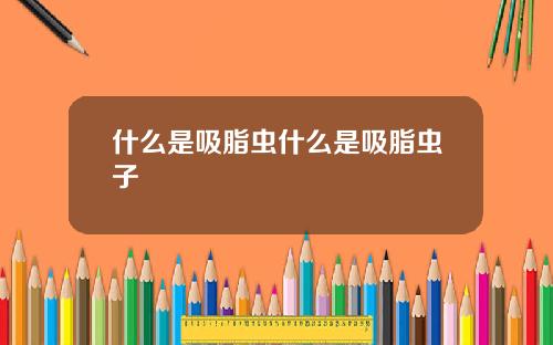 什么是吸脂虫什么是吸脂虫子