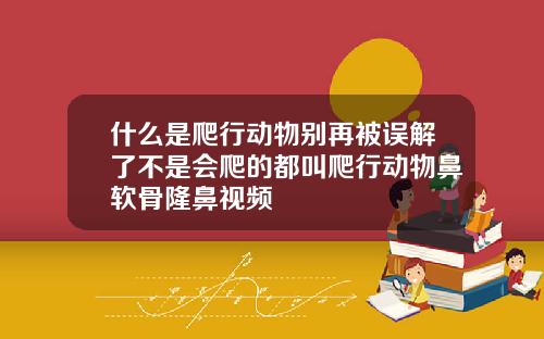 什么是爬行动物别再被误解了不是会爬的都叫爬行动物鼻软骨隆鼻视频