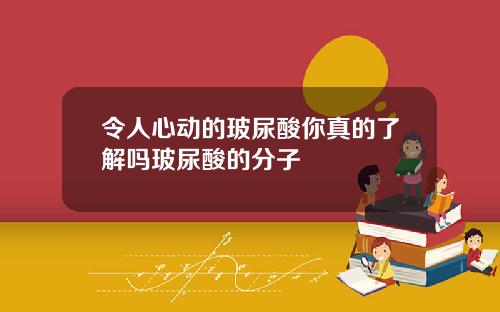 令人心动的玻尿酸你真的了解吗玻尿酸的分子