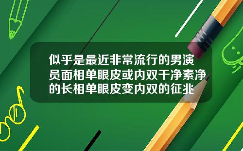 似乎是最近非常流行的男演员面相单眼皮或内双干净素净的长相单眼皮变内双的征兆