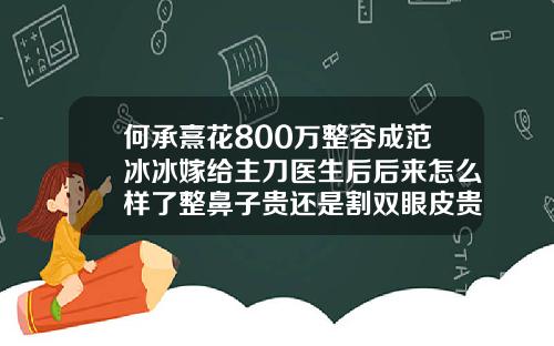 何承熹花800万整容成范冰冰嫁给主刀医生后后来怎么样了整鼻子贵还是割双眼皮贵