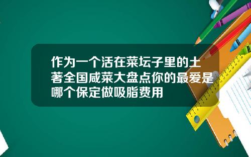 作为一个活在菜坛子里的土著全国咸菜大盘点你的最爱是哪个保定做吸脂费用