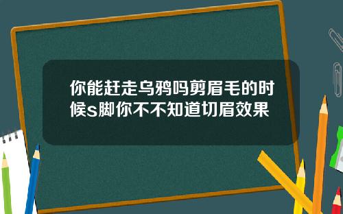 你能赶走乌鸦吗剪眉毛的时候s脚你不不知道切眉效果