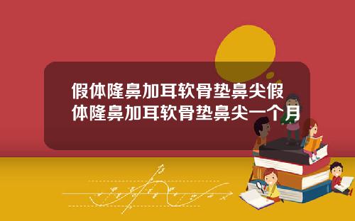 假体隆鼻加耳软骨垫鼻尖假体隆鼻加耳软骨垫鼻尖一个月