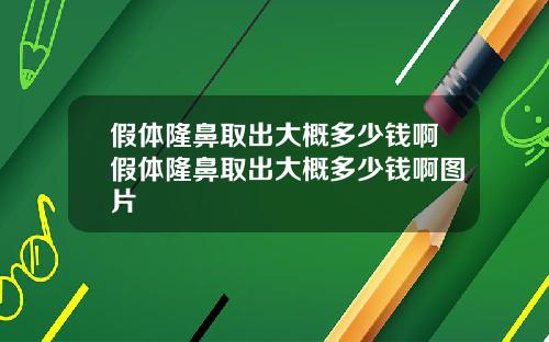 假体隆鼻取出大概多少钱啊假体隆鼻取出大概多少钱啊图片