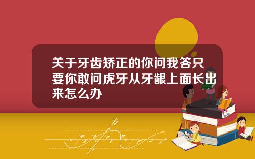 关于牙齿矫正的你问我答只要你敢问虎牙从牙龈上面长出来怎么办